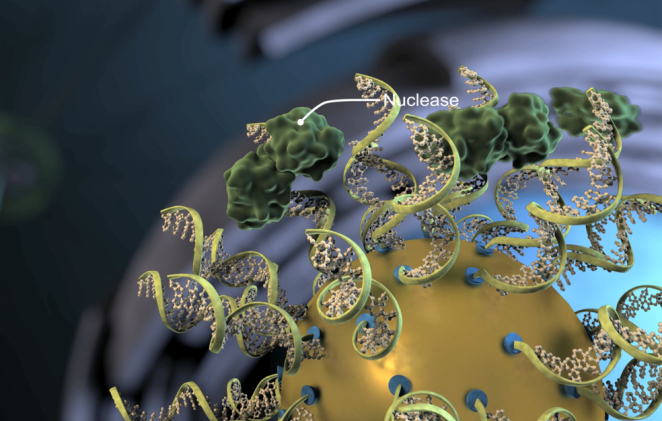 quintin anderson- peerspectrum.jpg