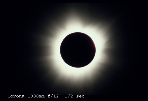 corona- gordon telepun